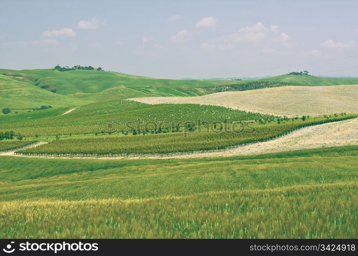 typical landscape in Italian region Tuscany