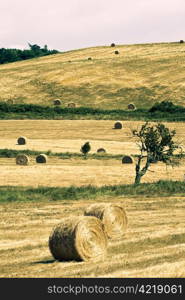 typical landscape in Italian region Tuscany