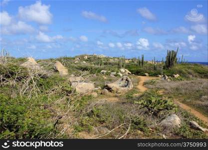 Typical landscape of Aruba, ABC Islands, Caribbean