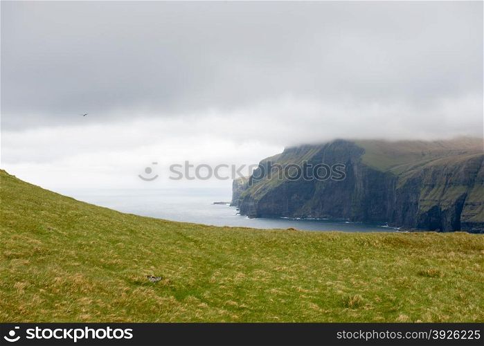 Typical landscape on the Faroe Islands, with green grass and cliff on the northern edge of Eysturoy