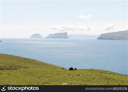 Typical landscape on the Faroe Islands, with green grass, sheep, rocks, and view towards Skuvoy