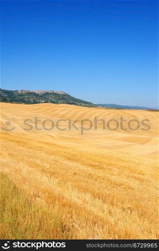 Typical Medieval Tuscany City Surrounded By Golden Fields