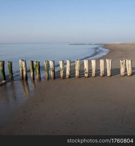 typical row of poles on beach of zeeland in the netherlands under blue sky and late afternoon sun in spring