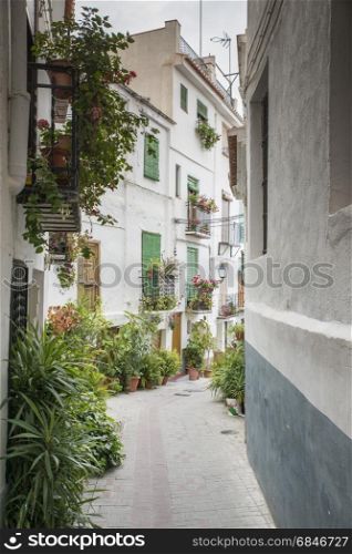 typical street in andalusia spain with white houses and basket with flowers in the street. typical spanish white houses with flowers