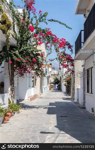 Typical street with bougainvilleae in Kardamaina, Kos, Greece