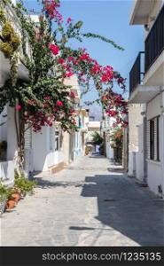 Typical street with bougainvilleae in Kardamaina, Kos, Greece