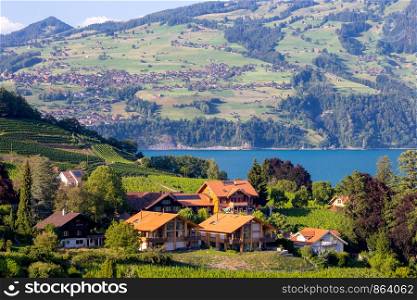 Typical Swiss village Spiez on the banks of Lake Thun. Switzerland.. The traditional alpine village Spiez near Lake Thun.