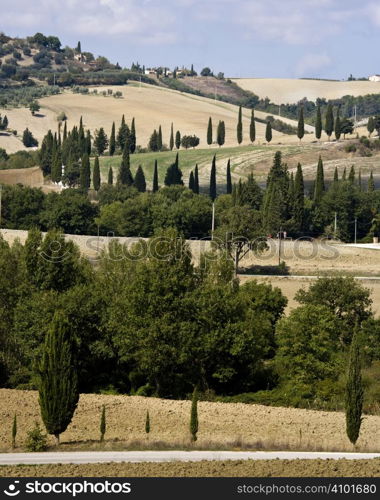 typical tuscan landscape