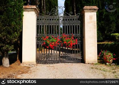Typical Tuscan Steel Gate Decorated With Flowers