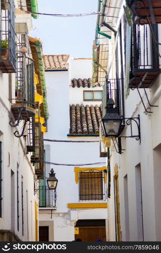 Typical whitewashed houses along the streets of the city of Cordoba, Spain