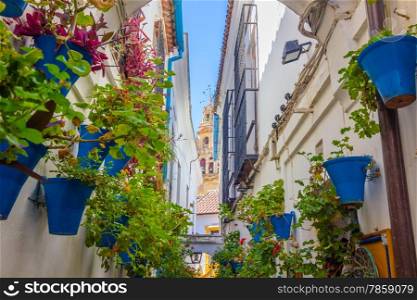 Typical windows with grilles and decorative flowers in the city of Cordoba, Spain