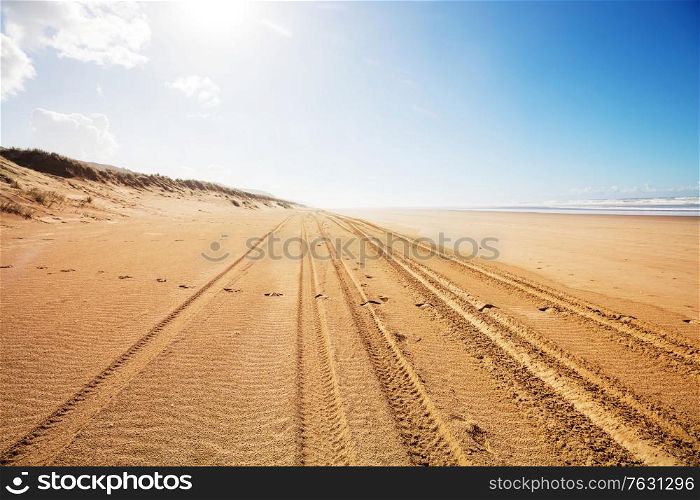 tyre tracks on sandy beach in Pacific coast, New Zealand
