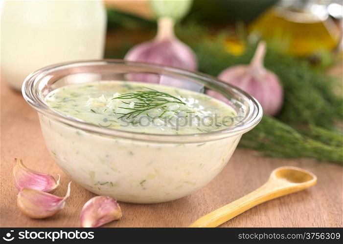 Tzatziki, a Greek and Turkish sauce, made of yoghurt, cucumber, garlic, olive oil and dill (Selective Focus, Focus on the front of the dill on the tzatziki)