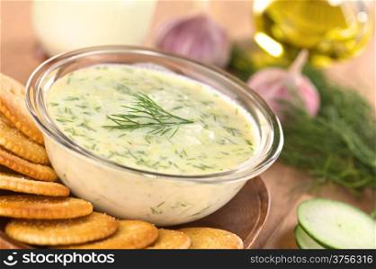 Tzatziki, a Greek and Turkish sauce, made of yoghurt, cucumber, garlic, olive oil and dill with salty crackers to dip (Selective Focus, Focus on the front of the dill on the tzatziki)