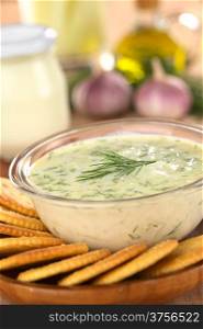 Tzatziki, a Greek and Turkish sauce, made of yoghurt, cucumber, garlic, olive oil and dill with salty crackers to dip (Selective Focus, Focus on the front of the dill on the tzatziki)