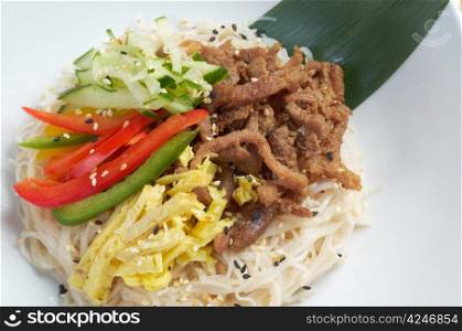 udon noodles with beef.Japanese cuisine