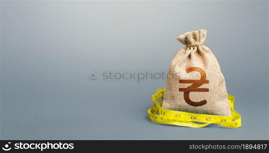Ukrainian hryvnia money bag and measuring tape meter. Analysis of economic situation. Declaration of income, illegal. Assessment of capital. Formation and optimization of the budget, savings.