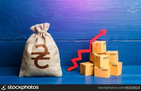 Ukrainian hryvnia money bag with boxes and up arrow. Income increase, acceleration and growing of economy. High sales. Growing transportation prices. Good consumer sentiment and demand for goods.