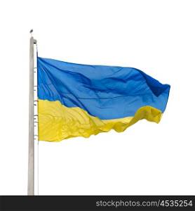 Ukrainian national flag isolated on white background