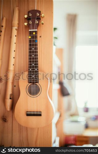 Ukulele and flutes hanging on a wooden bookshelf, close up picture