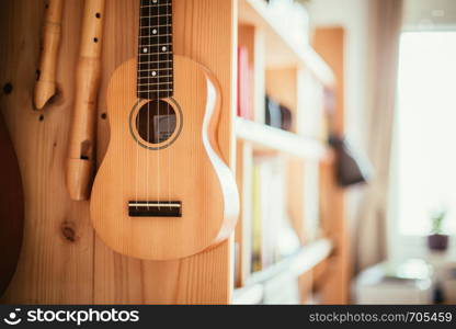 Ukulele and flutes hanging on a wooden bookshelf, close up picture