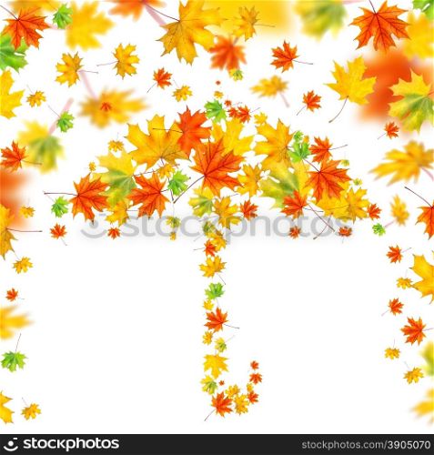 umbrella from autumn leaves isolated on white