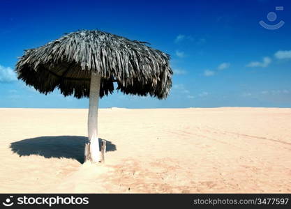 umbrella in desert under blue sky
