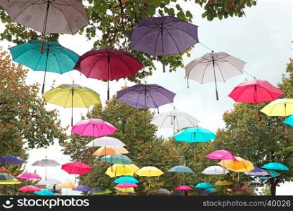 Umbrellas in autumn in the countryside from the Netherlands