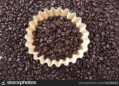 Unbleached coffee filter with organic coffee beans
