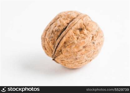 Unbrocken walnut on white macro on white background