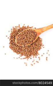 Uncooked buckwheat on wooden spoon. premium buckwheat groats on white background