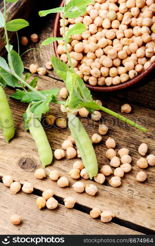 Uncooked chickpeas grains in bowl. Chickpeas - food product popular in the Middle East, for cooking traditional dishes.Healthy and vegetarian food