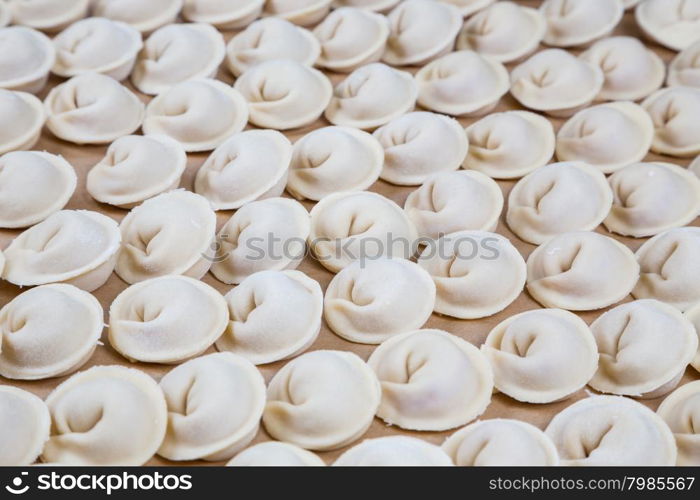 uncooked pelmeny ravioli accurate line on paper