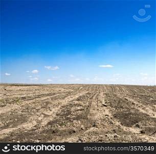 uncultivated field