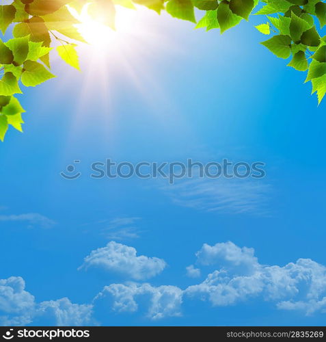 Under the blue skies. Abstract natural backgrounds for your design