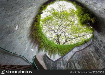Underground crossing tunnel with staircase and big tree background. New landmark for tourist at Fort Canning Park Singapore