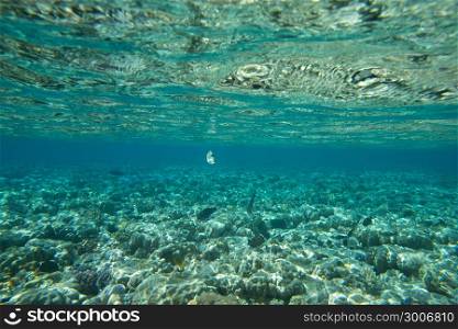 Underwater blue ocean background in sea