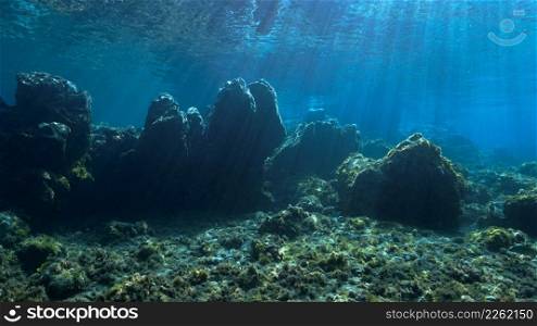 Underwater fairy tale landscape in rays of sunlight