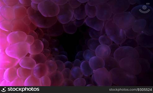 Underwater macrophotography from inside a Bubble coral