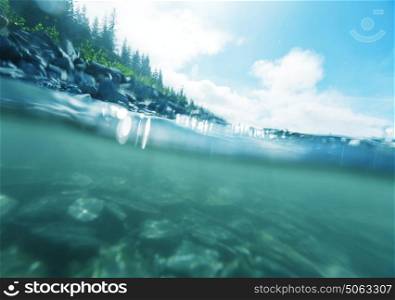 underwater scene in mountains creek. Alaska.