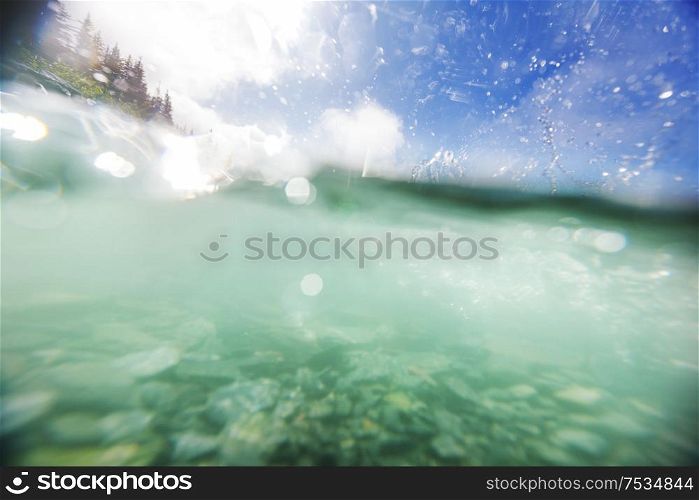 underwater scene in summer river