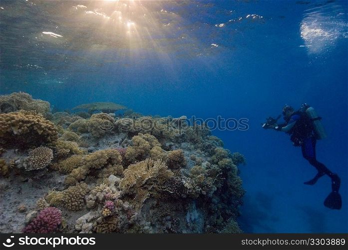 Underwater scene with scuba diver