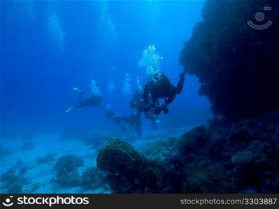 Underwater scene with scuba divers