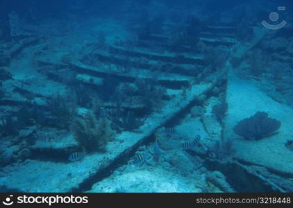 Underwater shipwreck