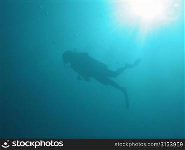 Underwater view of a scuba diver, Moorea, Tahiti, French Polynesia, South Pacific