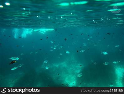 Underwater view of mature man snorkeling on sea surface, Menorca, Balearic islands, Spain