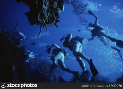 Underwater view of scuba divers