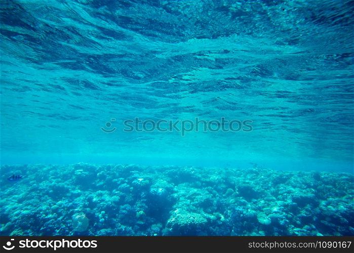 Underwater view of the sea surface