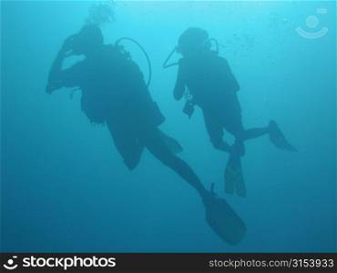Underwater view of two scuba divers, Moorea, Tahiti, French Polynesia, South Pacific