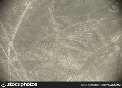 Unesco Heritage: Lines and Geoglyphs of Nazca, Peru - Condor